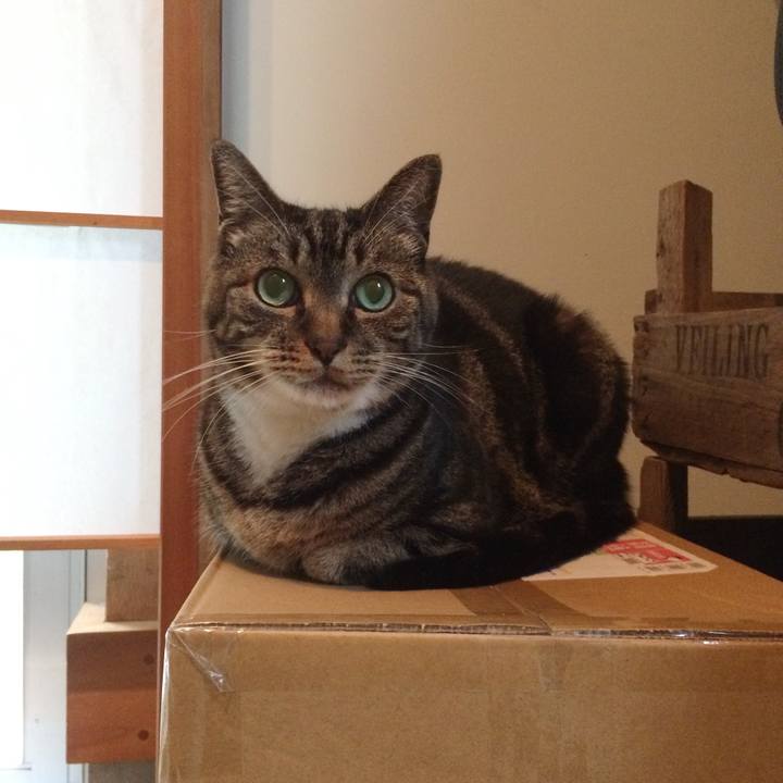 E9f57bf3 1abd 45da b705 b5ccaab71d58 1567727044812