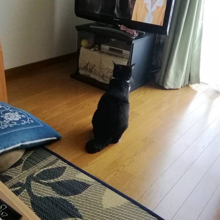 E9f5b045 80cd 4f56 bacf 8111992e8876 1564992996924