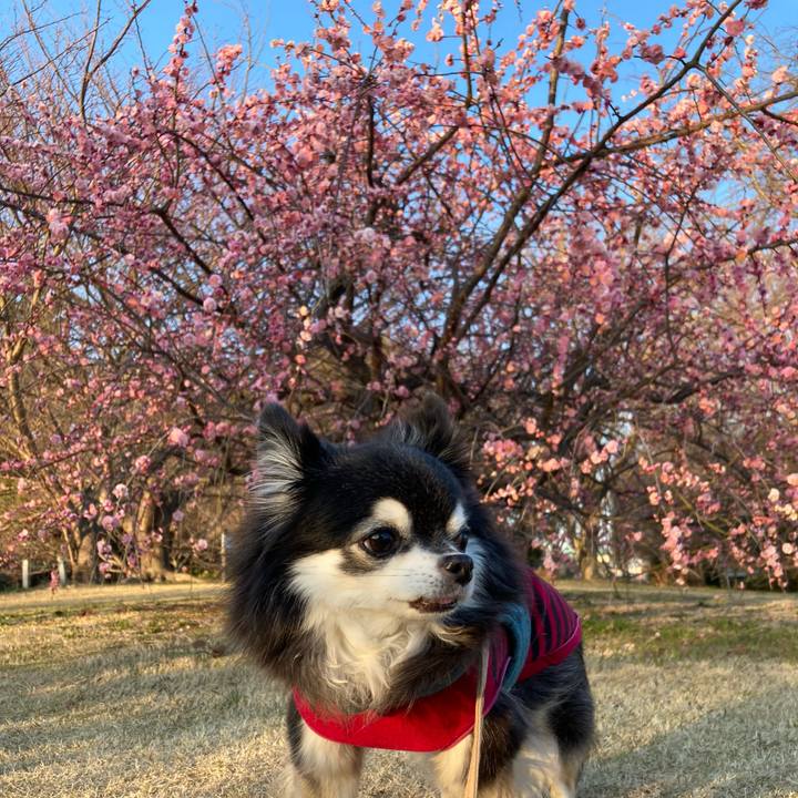 E9f64414 ad5f 4063 b483 5d2c51e17350 1771407728044