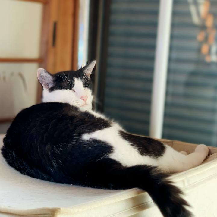 E9f66e4d 79bc 4066 a4c3 92ff2654de58 1595813265111