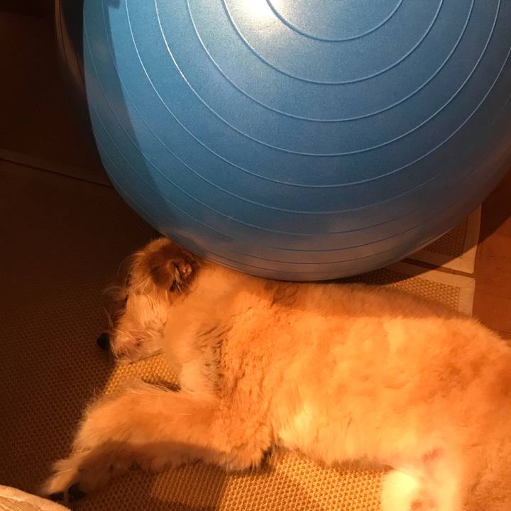 E9f67254 64ca 4815 bf92 c965df2945d2 1531274027942