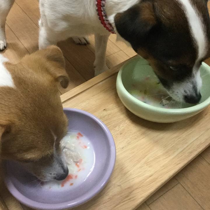 E9f676c8 5ecf 4c57 a24c c2e53e183239 1552036109983