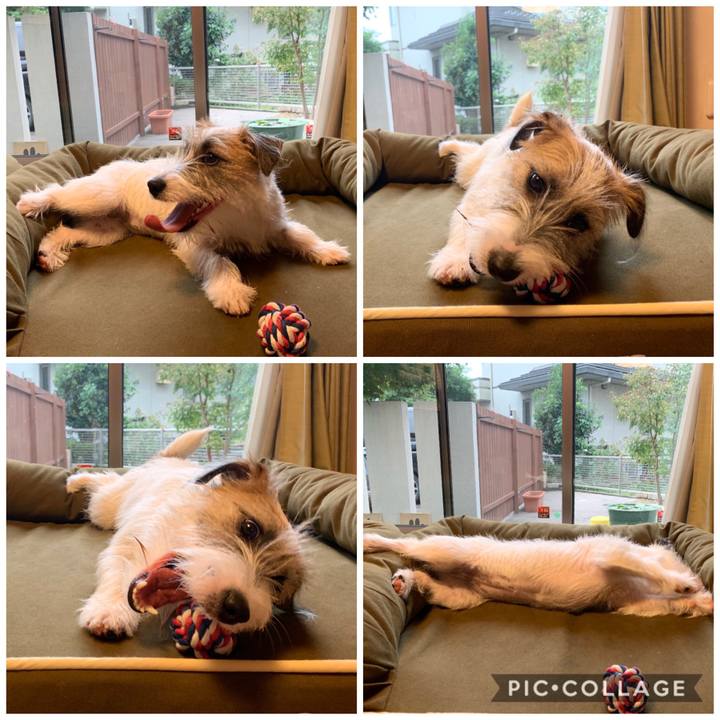 E9f686ae b7c4 4f7c a3a6 2bcd296f58ce 1571035058028