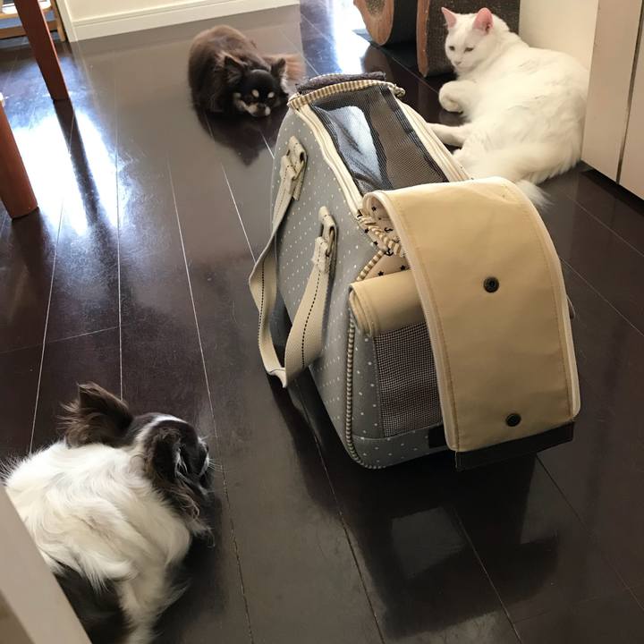 E9f6e15b 94da 411b a7e5 0ad039605299 1525838844624