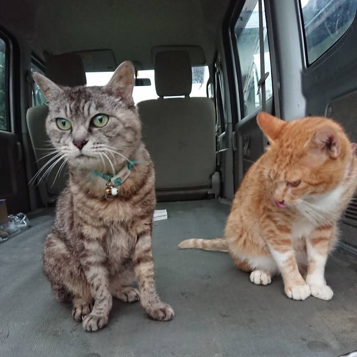 E9f6e805 acae 4a54 b92f 8b9b16978199 1567414979241