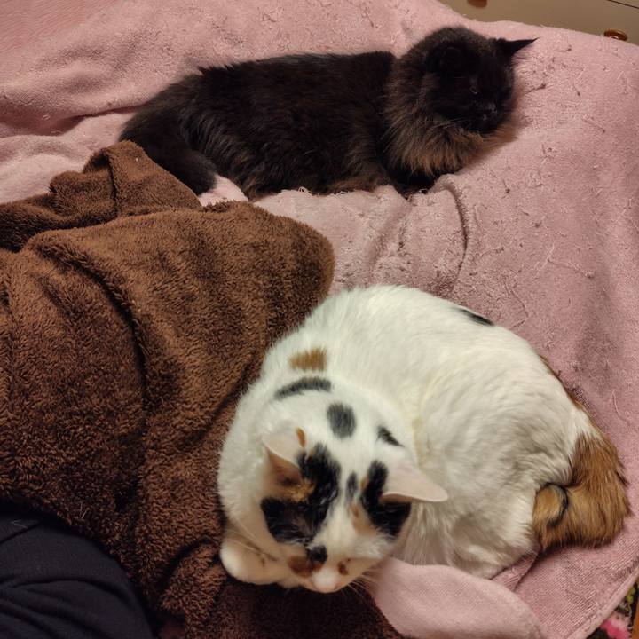 E9f70ba5 e5f7 4e3b 941c 38cf39085f23 1730385147722