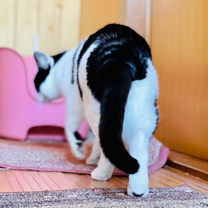 E9f7468f 24e1 4253 99e9 5f24ef5ea2b5 1606097286931