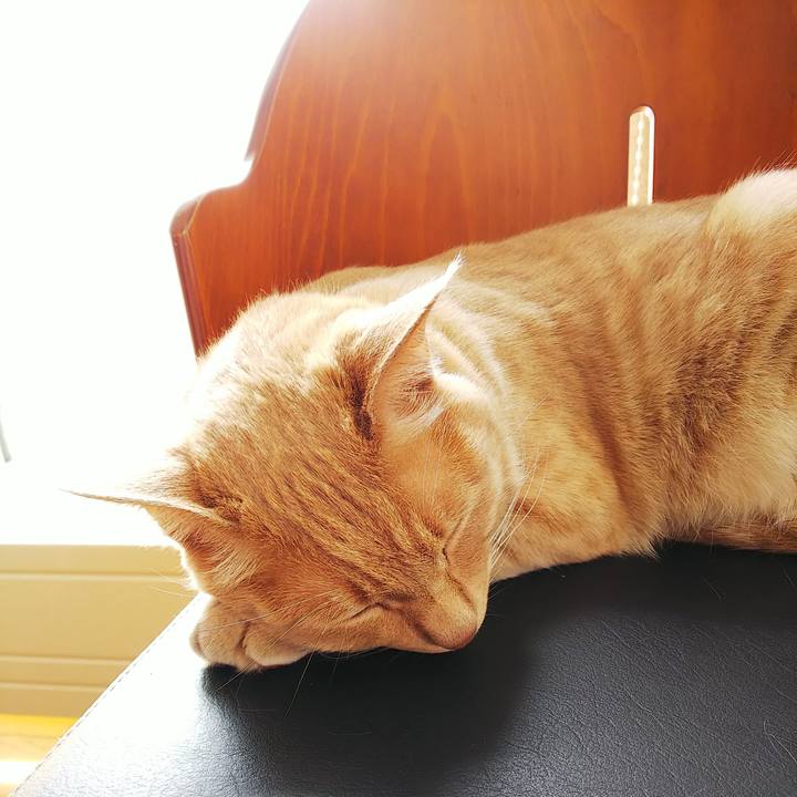 E9f76086 9721 48de 8ee3 bb9670a21c0a 1588477410759