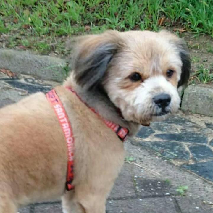 E9f76739 f217 477b 9825 006c65725b29 1520250489139