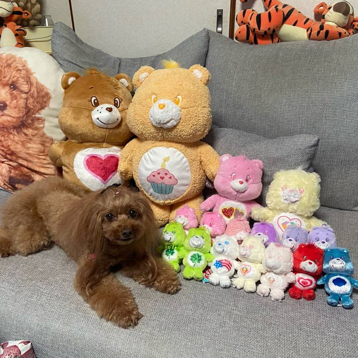 E9f768b1 8506 4850 ba42 ee256b7f0591 1759139049860