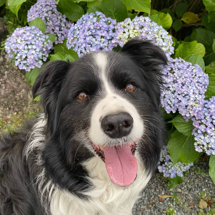 E9f76b41 3212 46fb be89 a82a71fd15bb 1622629213059