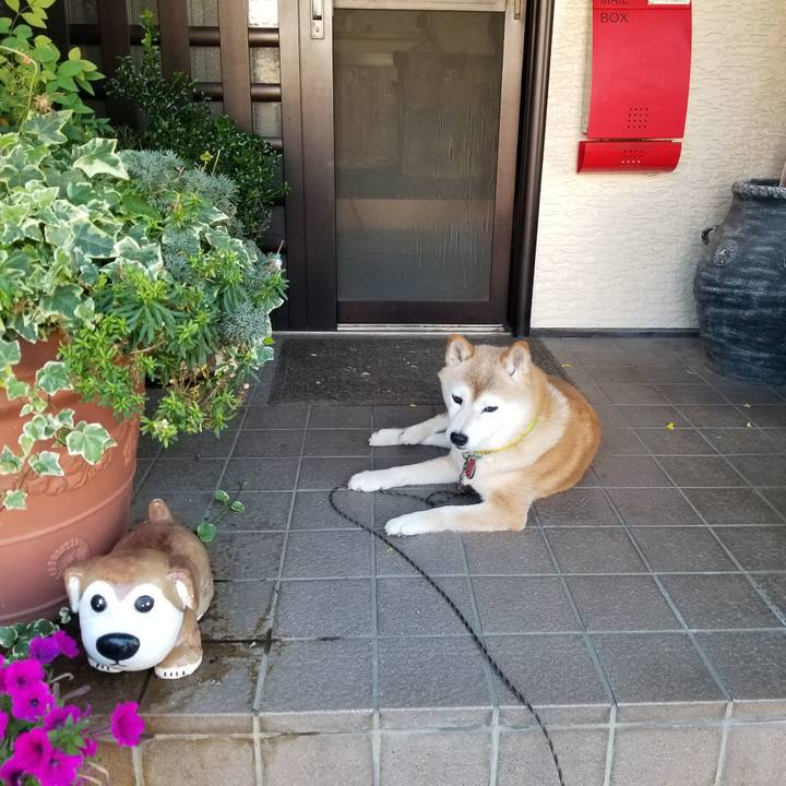 E9f7716b 7820 472c a79c 2ba6df168265 1690326327772