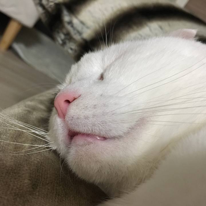 E9f783ba c10a 4bdb b1bf 6040b5a9e1a2 1525611720266