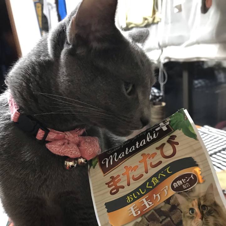 E9f795fa 0e25 4dd6 9b8e 4f1785bab631 1560778862861