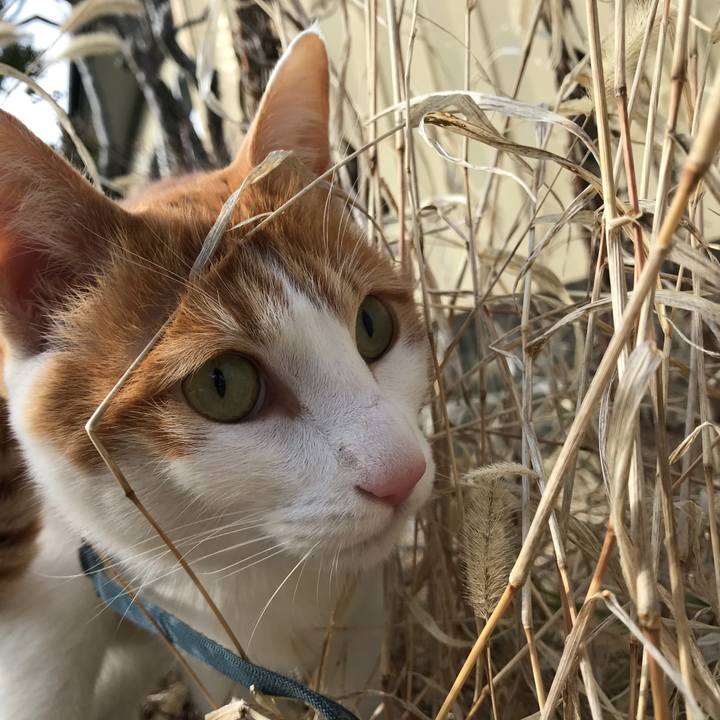 E9f7dfbb b8fa 4f98 bebe 28686e195ee9 1517734293536