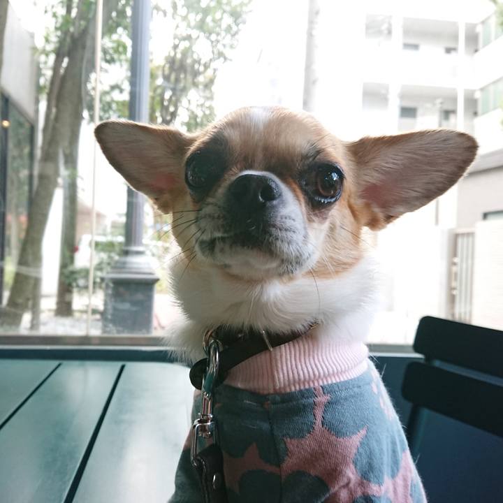 E9f7e3b9 7e38 4719 8454 38bf273816f3 1585044523834