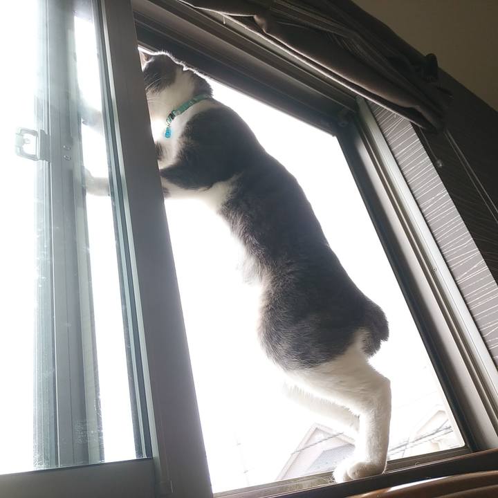 E9f7f9d7 18ee 4c64 a303 6eac85664033 1593471913787