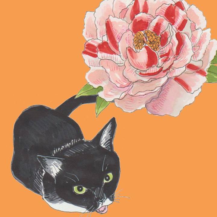 E9f817a2 45cd 456b 8a92 c0ad04fa6ae7 1625488705122