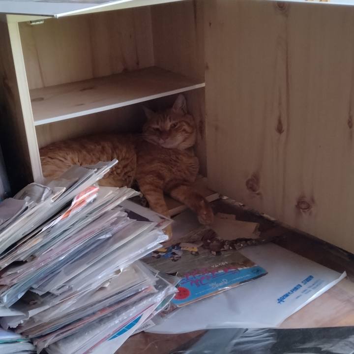 E9f81eb8 0034 4f4a b755 24dcf54b1d12 1692510860820