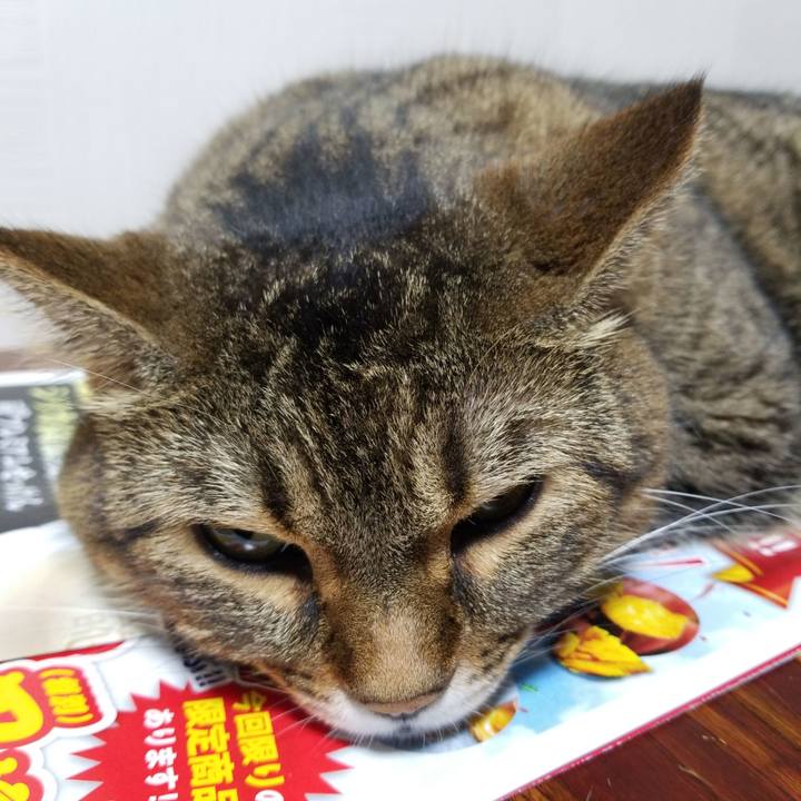 E9f8a050 d71f 49a7 931e 3bb54f1abfd8 1570017611888