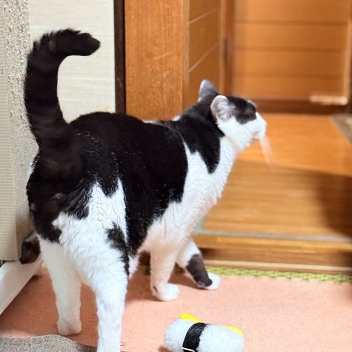 E9f8a97a 5c12 4a23 a69f dac840c38607 1766972983799