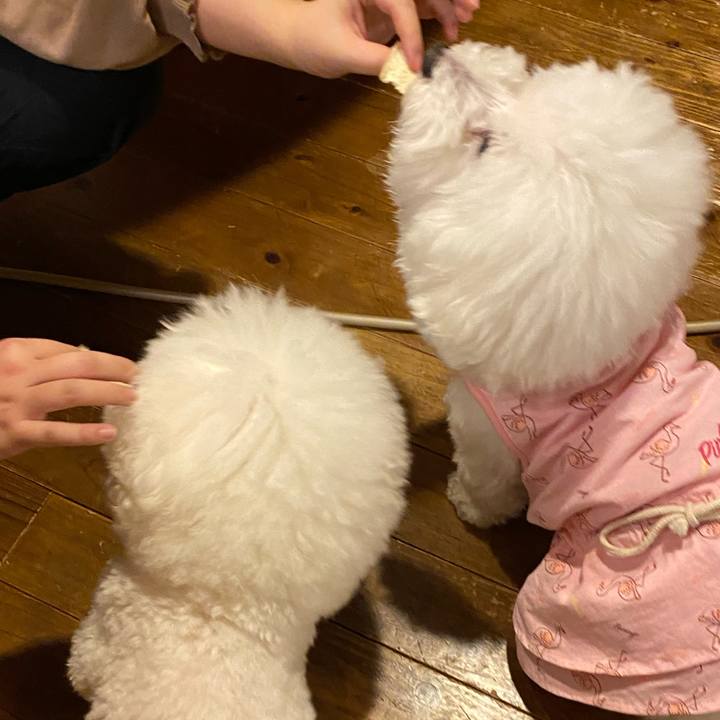 E9f8b1f6 fb43 49b6 b3a7 666b61ef188a 1614333888138