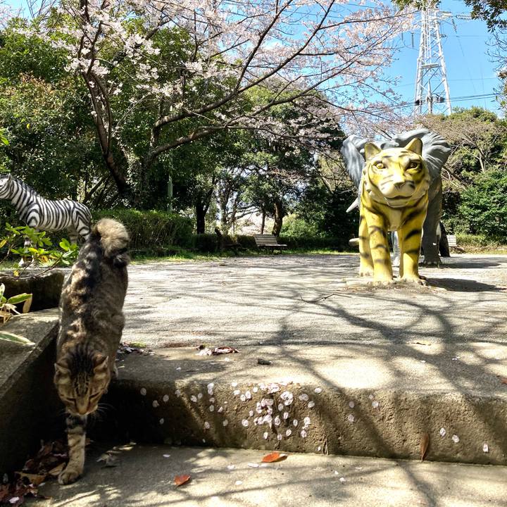 E9f8c649 cbc7 4605 9e7e 142515a02b6e 1642241820868