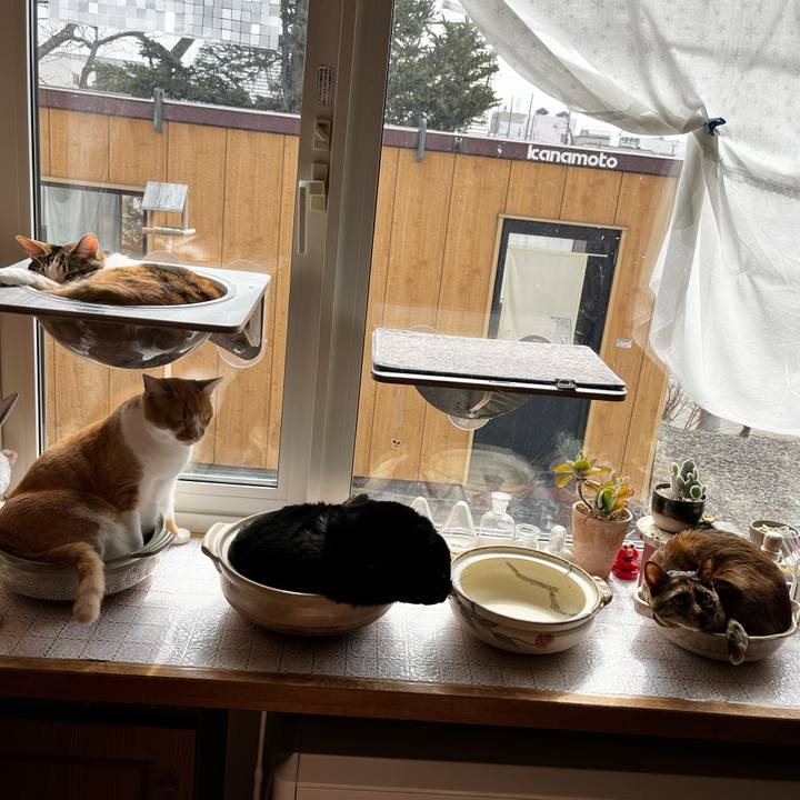 E9f8cb72 29f2 4fd7 b582 f7fb7ac7e43e 1712193295515