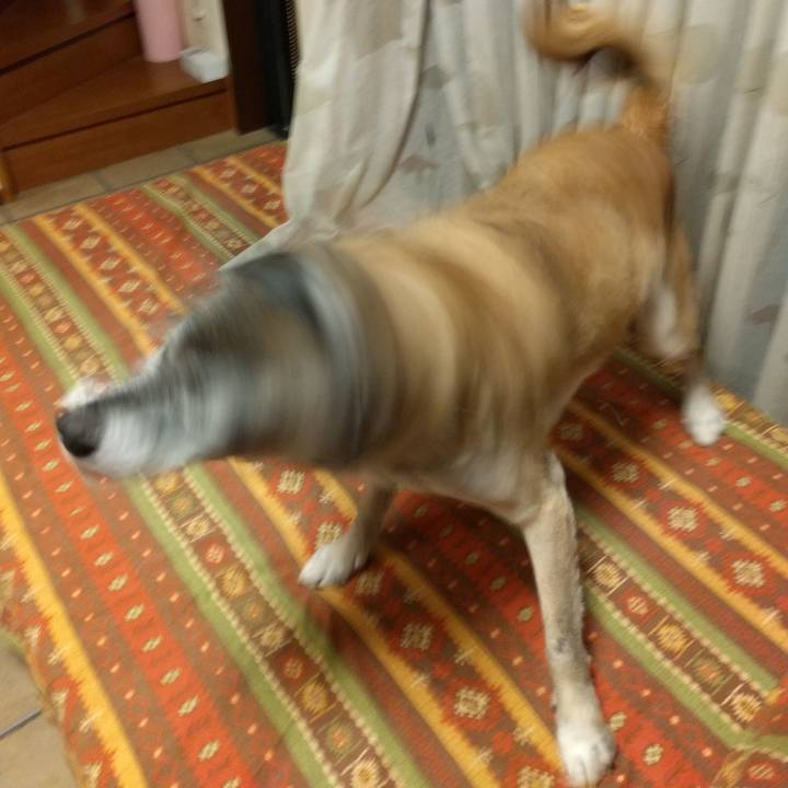 E9f8cde2 b84e 4454 afd1 7571306ce358 1538483121189