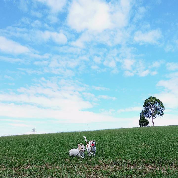 E9f8d8eb 57d8 49e8 8a26 42468327f75e 1538889299726