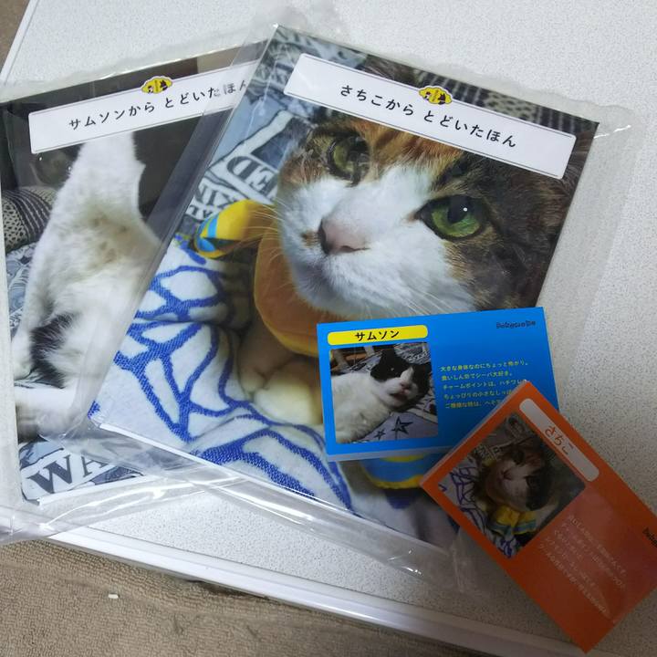 E9f90729 c763 4301 bd8e 6d1127fa68c5 1530962138868