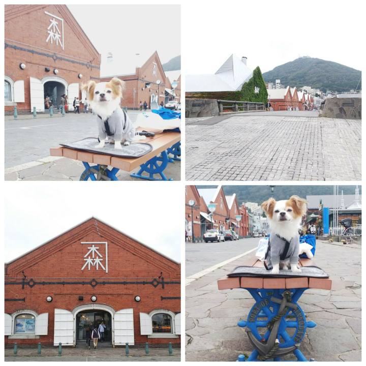 E9f9821c d5ad 4b52 9e60 841d0ca4f4f4 1538280657455