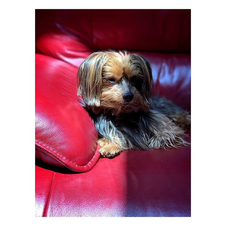 E9f99884 d266 4259 9b56 fc152b41fa5a 1557393986930