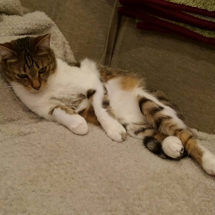 E9f9c944 c3ed 4e18 bf8b caed20c0f888 1583577122802
