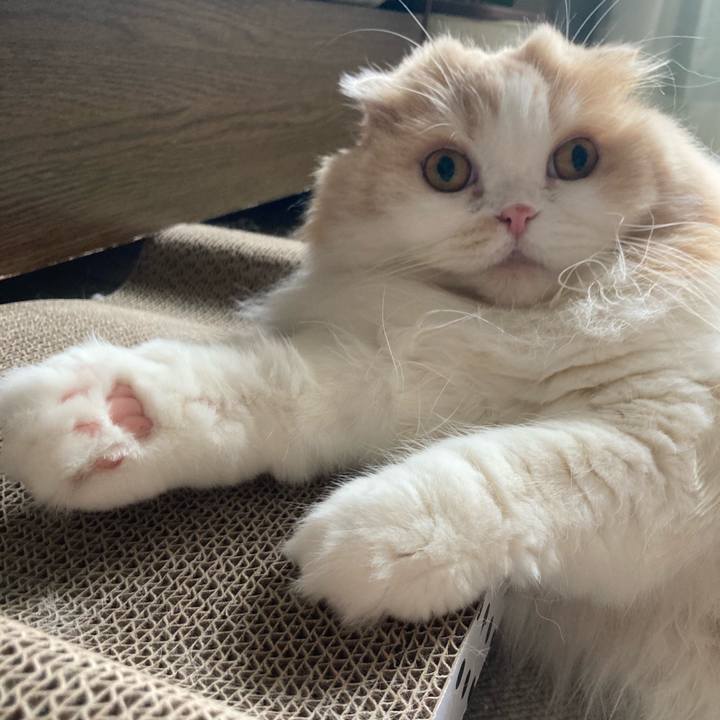 E9f9d543 c5cf 4885 8181 45c305e7d2f6 1625490534802