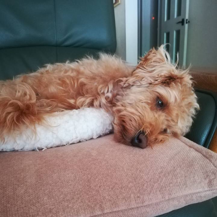 E9f9e1bc 0fa9 4880 9d3a 707479901ae1 1529414327735