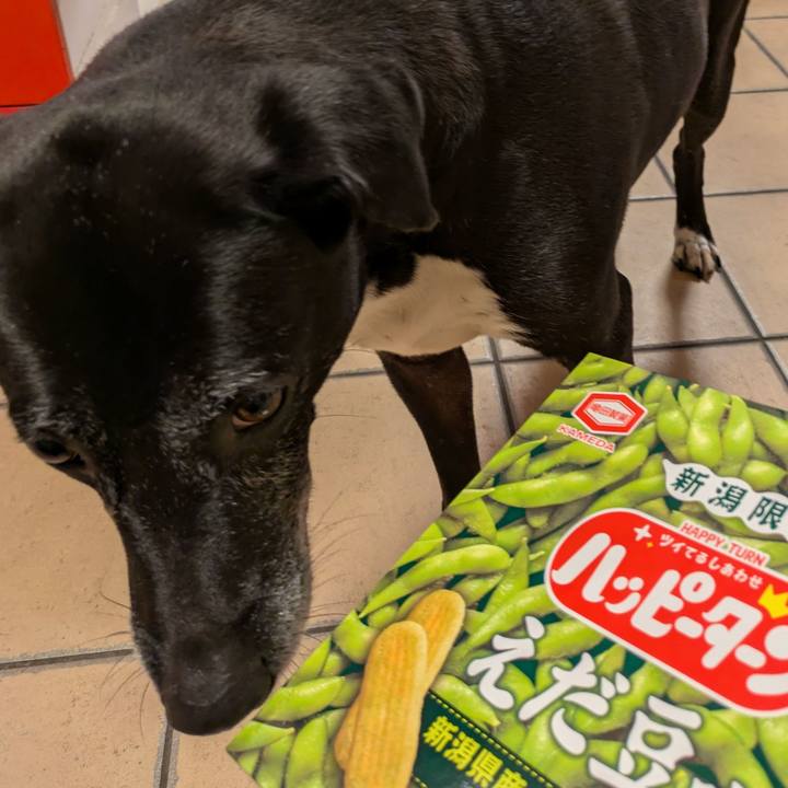 E9f9efe5 1c20 4194 b290 2919cb7461e2 1748867507431