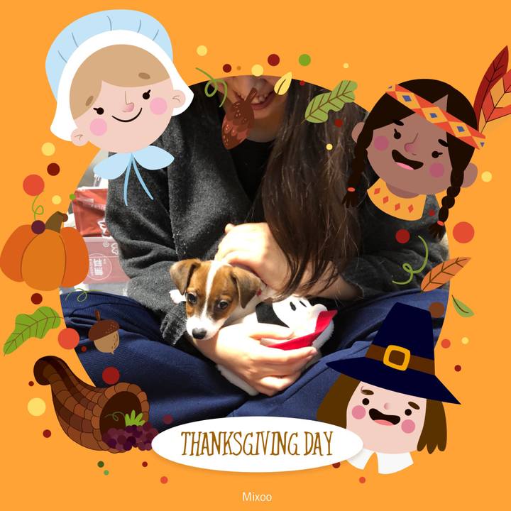 E9fa0b7a adb2 4a2d 8a7a 94a59cdf8408 1510873194212