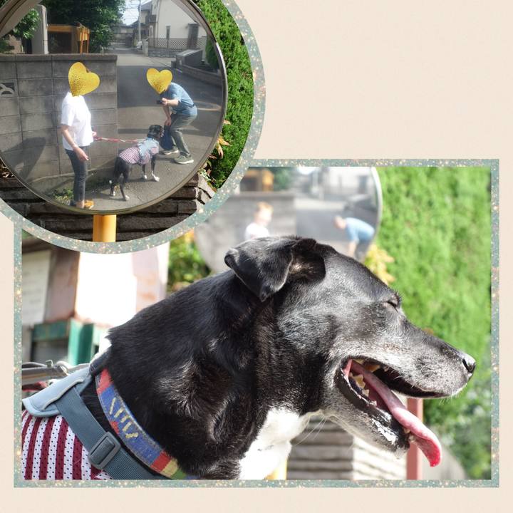 E9fa18b1 42cb 4e7f b7e2 2a58392f0a04 1718410199446