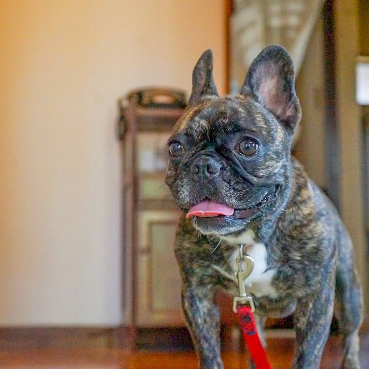 E9fa221e 37af 4d14 8a69 ea021bfbcd81 1573166460311