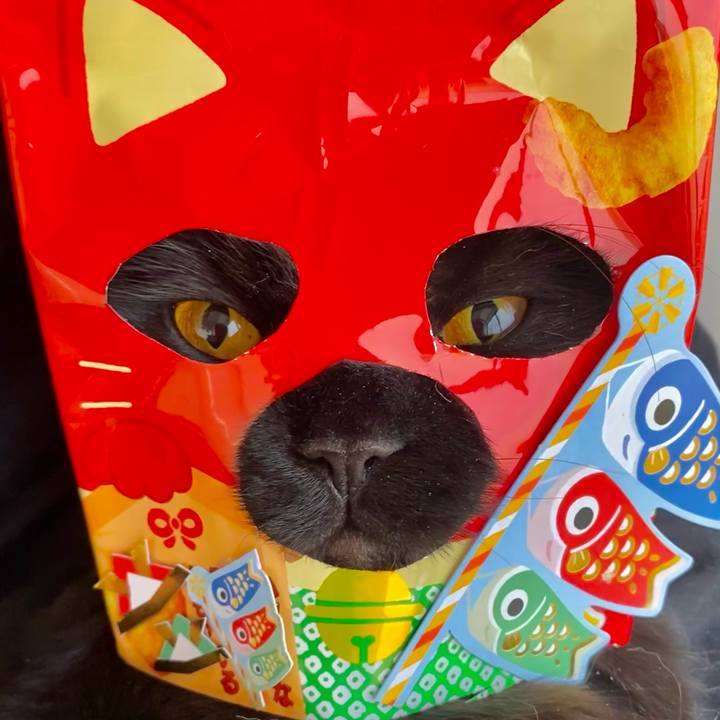 E9fa34e4 a7b8 454b b985 a97cc7eecc61 1619653003437