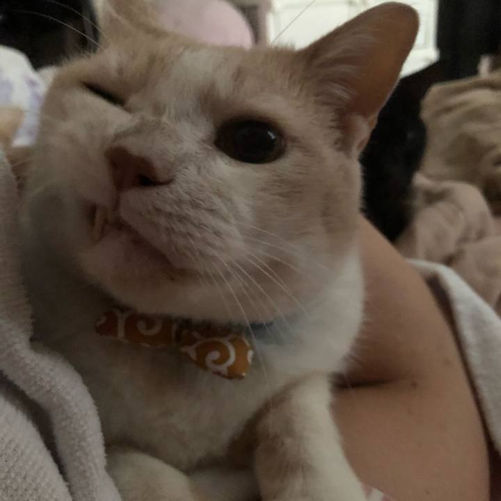 E9fac4d0 4396 4610 8c2a 0e9a50f62c22 1602886971291