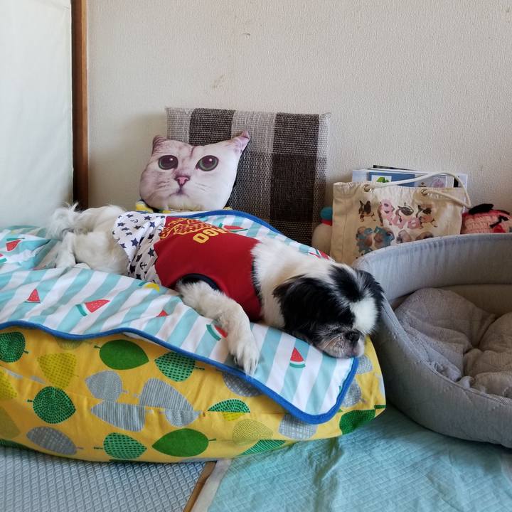 E9fac8e1 716a 41bb 8bba bf149e4b175d 1627424321364