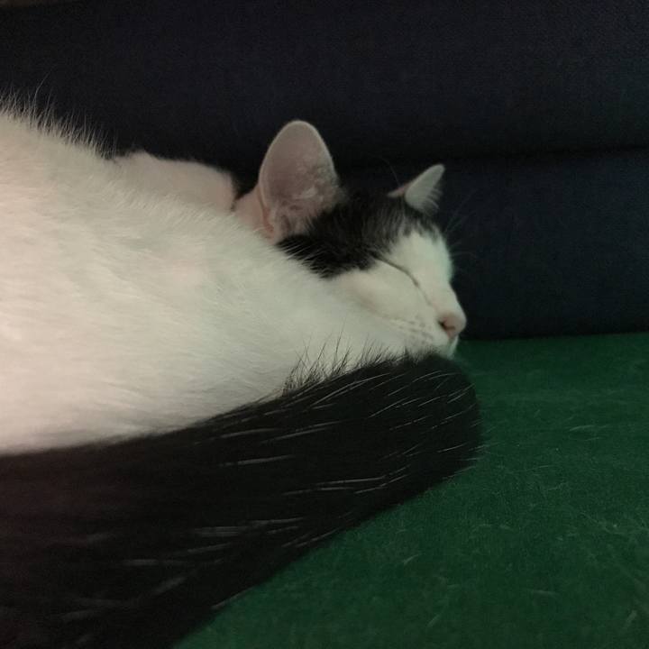 E9fb1ae0 061f 4430 a987 3fa47a1dbf58 1509372777584