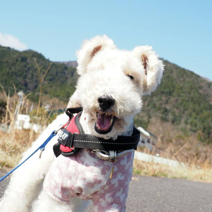 E9fb1e74 f564 42d5 b124 10e3b8d921d5 1521263128427