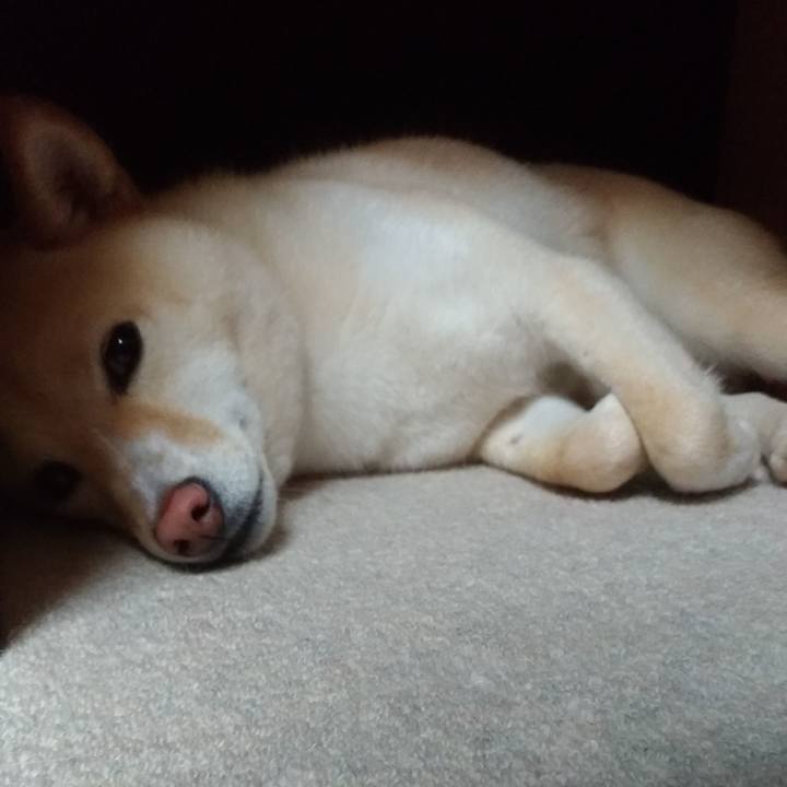 E9fb44ce 2115 4bdf b52c 49ba123e5cf3 1560944688680