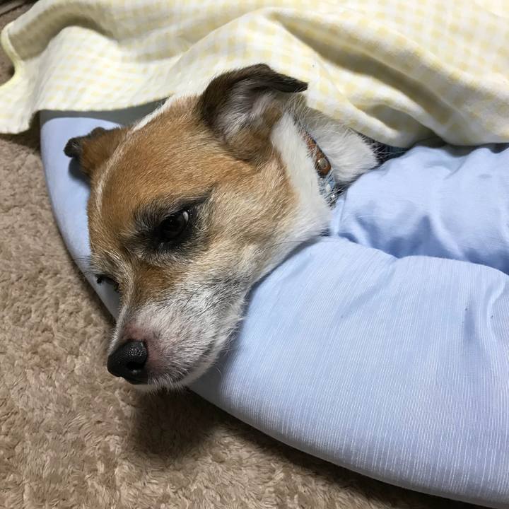 E9fb5642 bd55 4ae4 af88 d9e57cd0a9f2 1537008214140