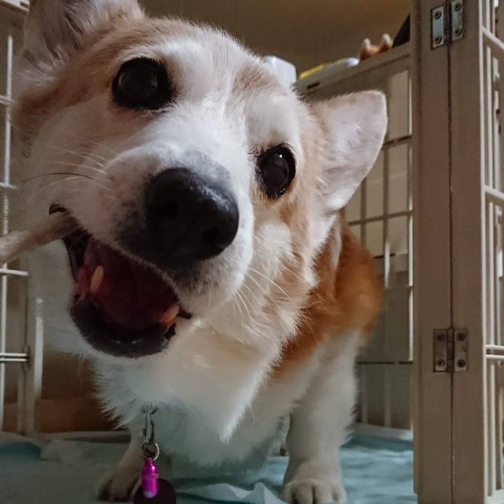 E9fb631b 74ef 4677 b128 89fca3fcdcdf 1774016747092