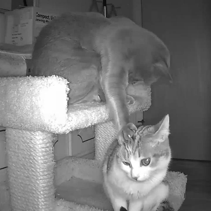 E9fb7dbe 8ade 42dc ab9a 96bba65e7804 1632874421466