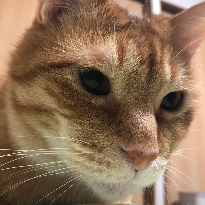 E9fb9aab 74eb 4a3f b976 0da570b58d36 1614684560609